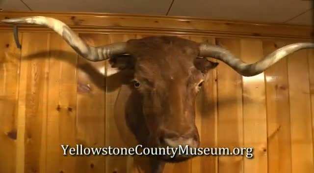 Yellowstone County Museum